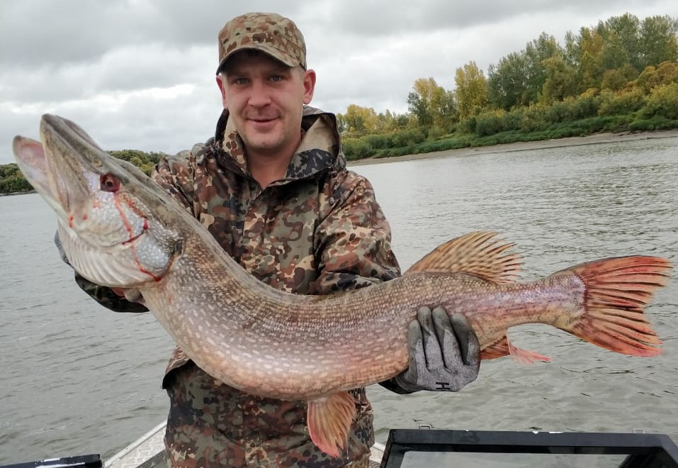 Осенняя путина ЗЖБИ-4