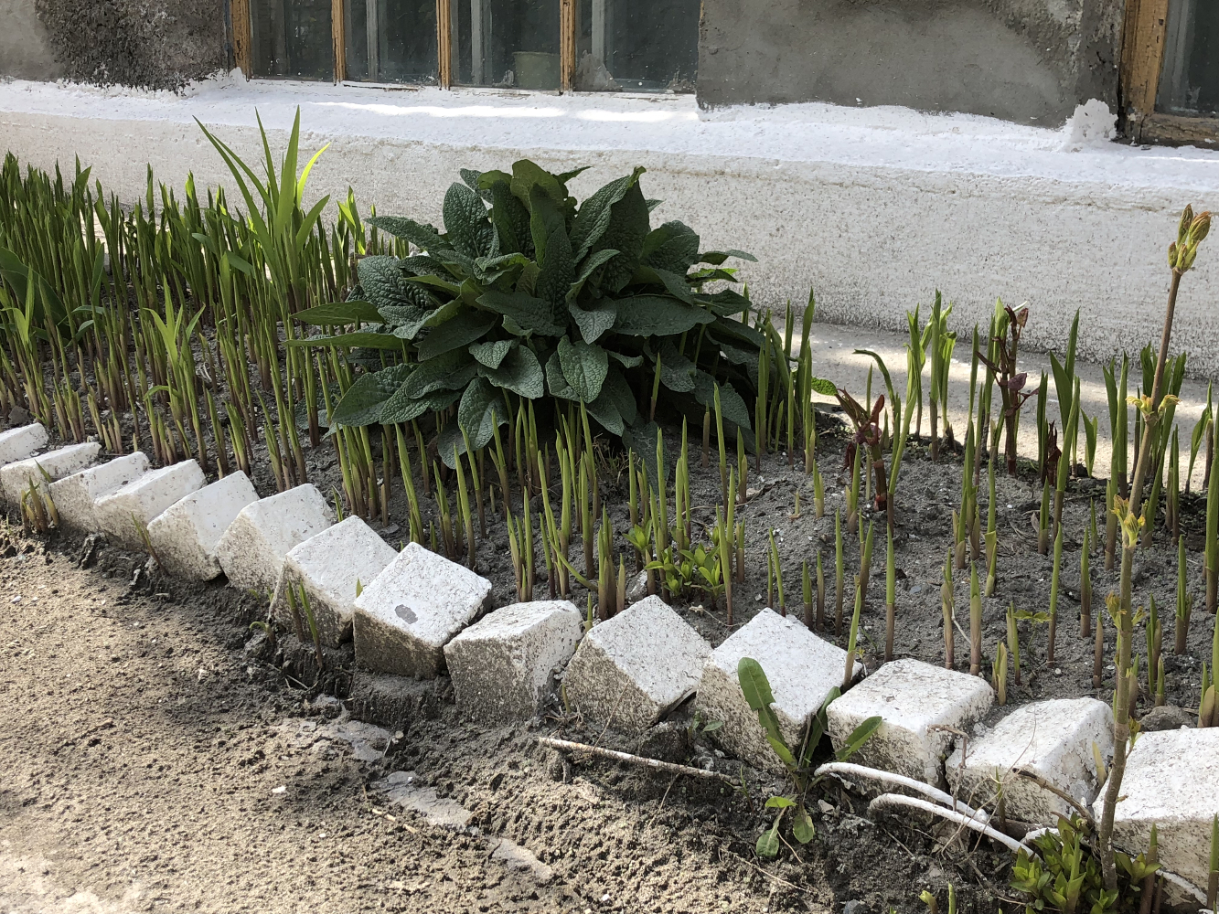 Новости экологии