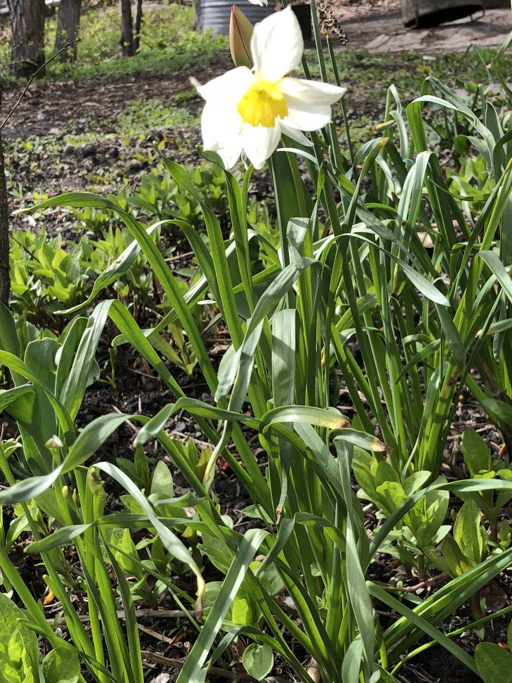 Новости экологии