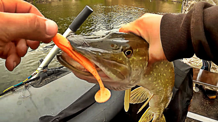 Осенняя путина ЗЖБИ-4