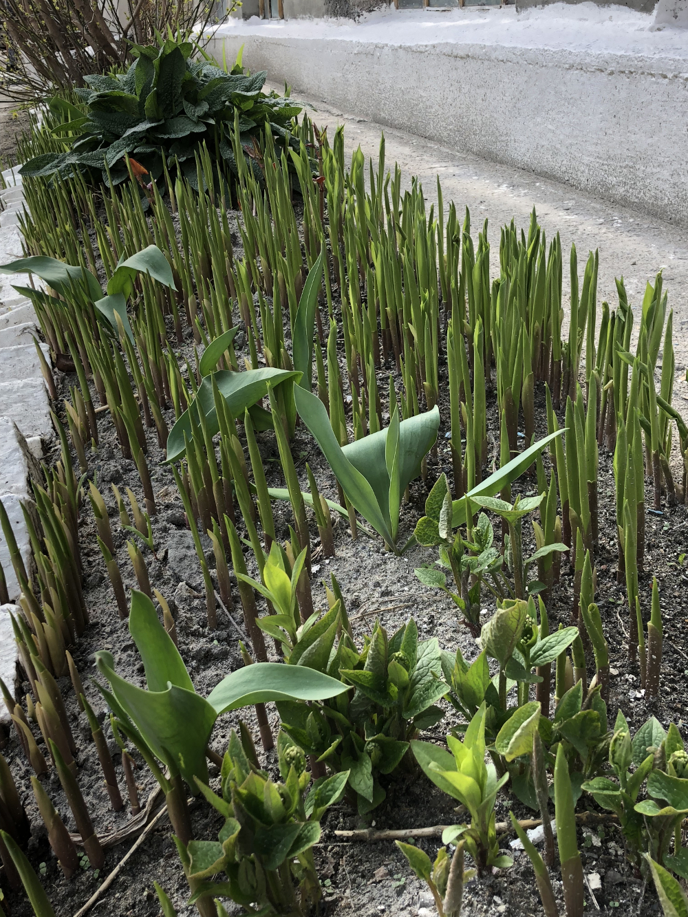 Новости экологии