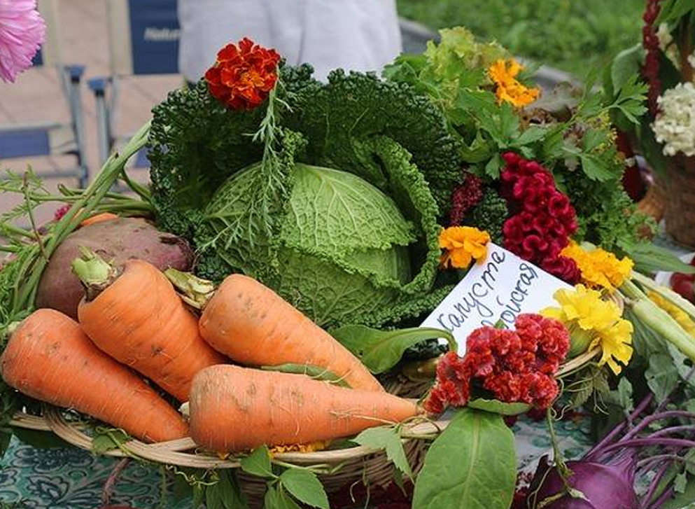 Сеньор помидор от ЗЖБИ-4